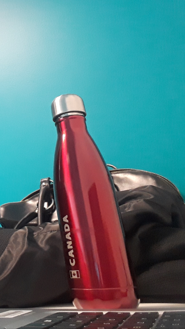 Gourde inox rouge métallisée 750 mL