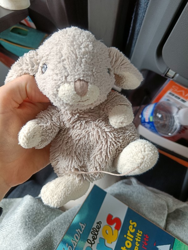 Doudou en peluche (lapin gris)