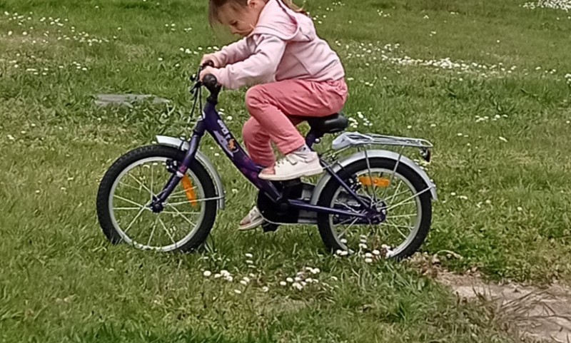 Vélo enfant noir et violet