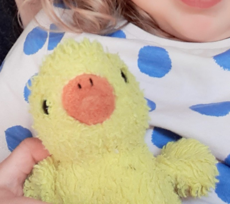 Poussin en peluche