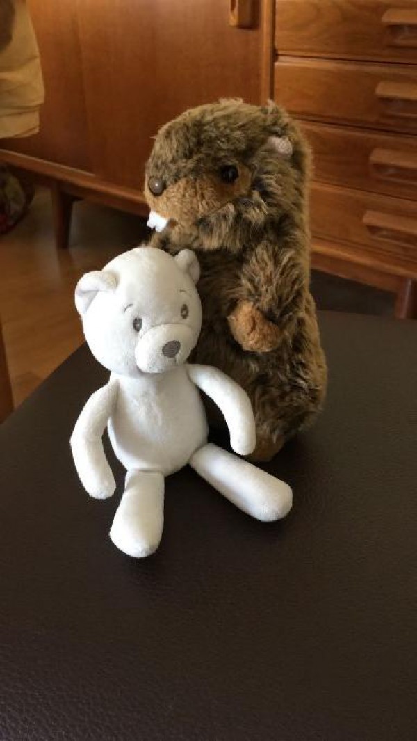 Doudou marmotte