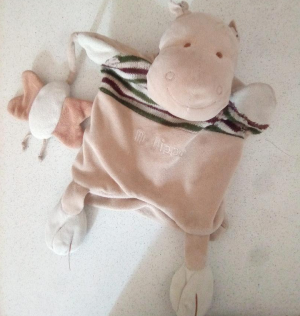 Doudou Mr [nom masqué] perdu le jeudi 28 juillet 2022 Place ZOLA ou ligne 23 ou rue contrescarpe