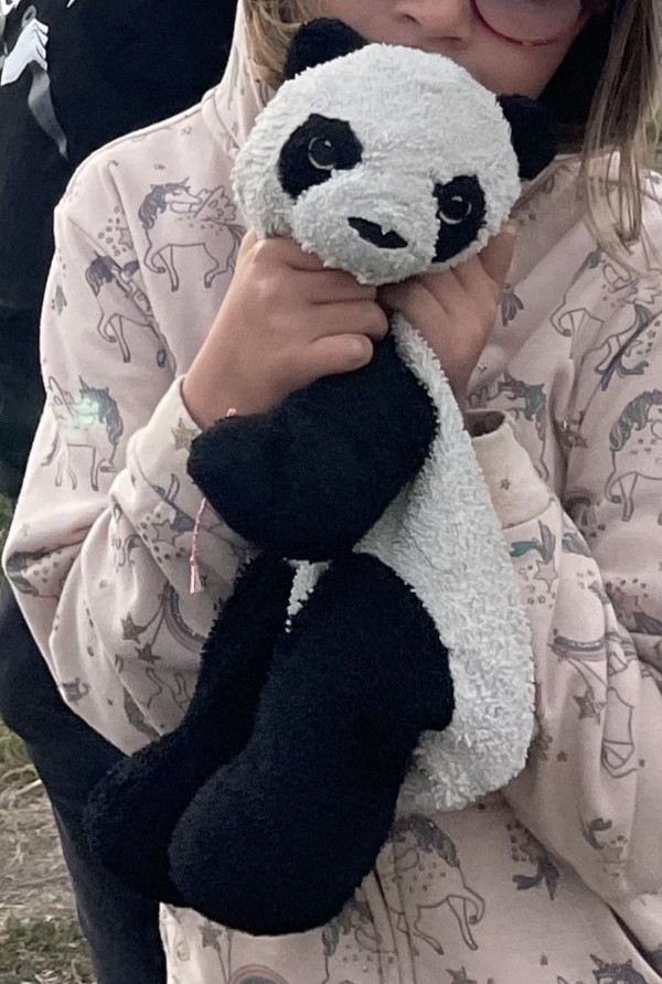 Doudou panda perdu à Saint Palais sur Mer