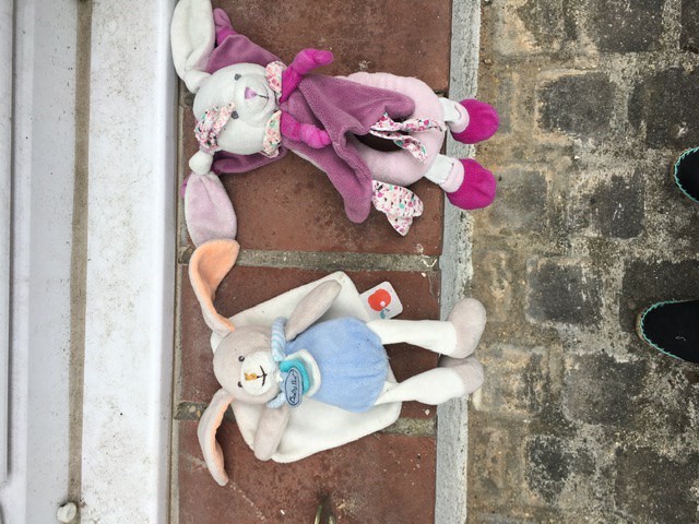 2 Doudous lapin trouvés à Fontainebleau