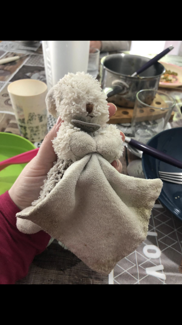 Doudou lapin avec une petite serviette déchirée sur un coin, gare de Nantes