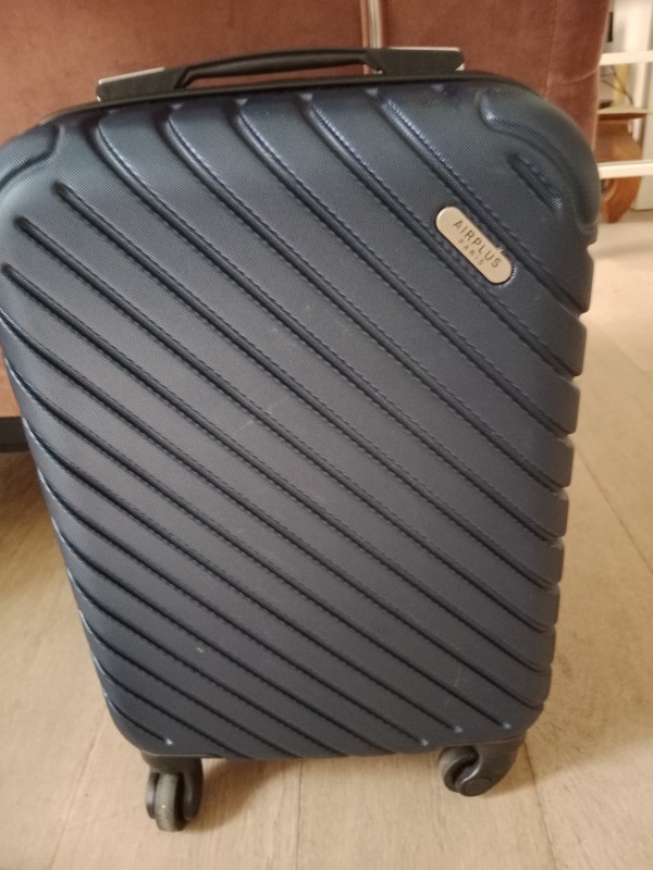 Perdu valise cabine TGV inoui Perpignan - Paris Gare de lyon