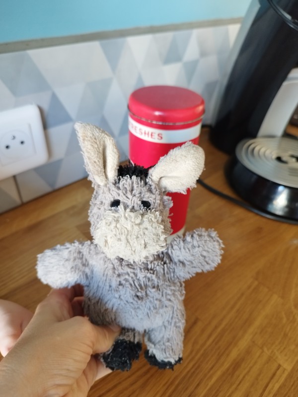 Perdu peluche âne vers école Jules Ferry, Villenave d'Ornon