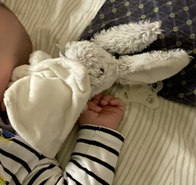 Perdu petit doudou lapin blanc
