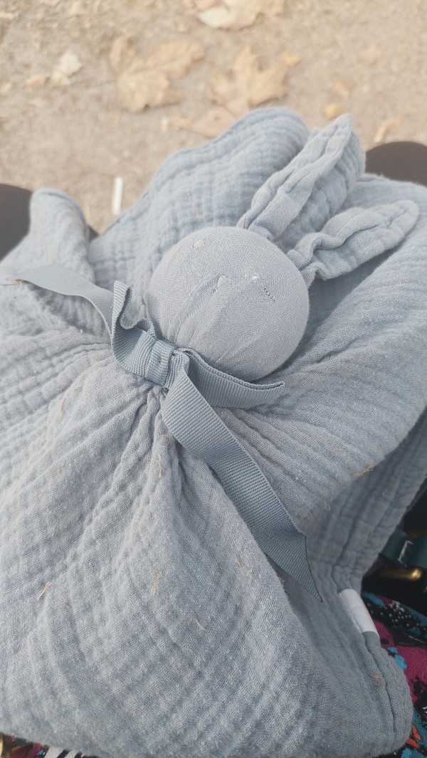 Doudou trouvé à Toulouse place du Salin