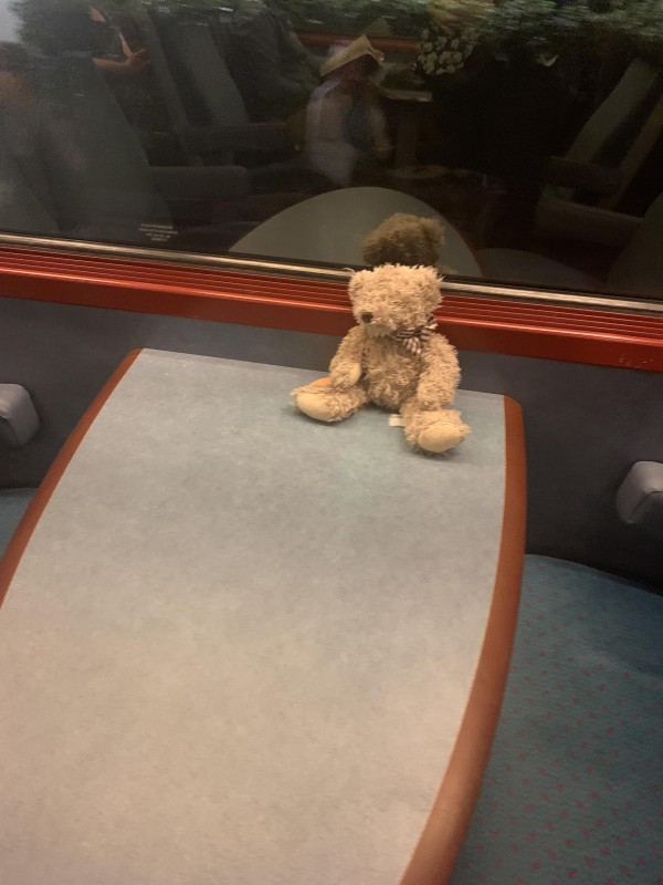 Ours en peluche - ter vendredi 16 de Lyon à Marseille