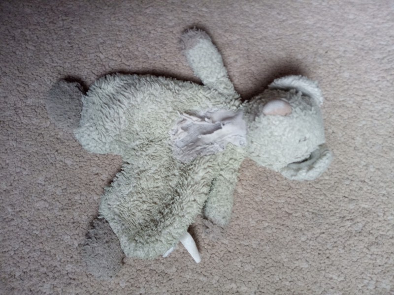 Doudou perdu