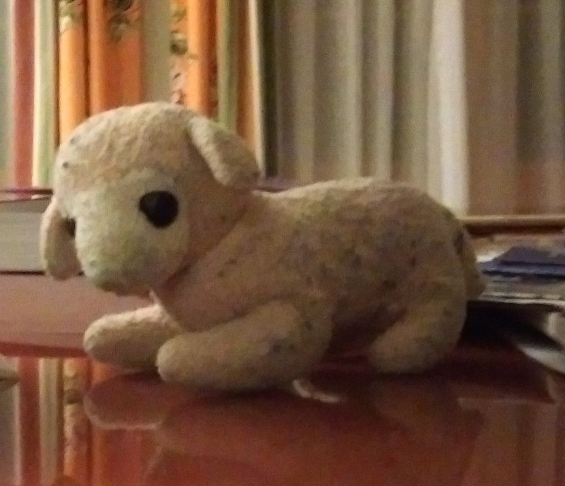 Moutons en peluche entre Mulhouse et Strasbourg