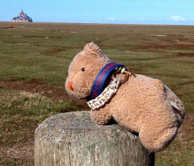 Perdu Nounours