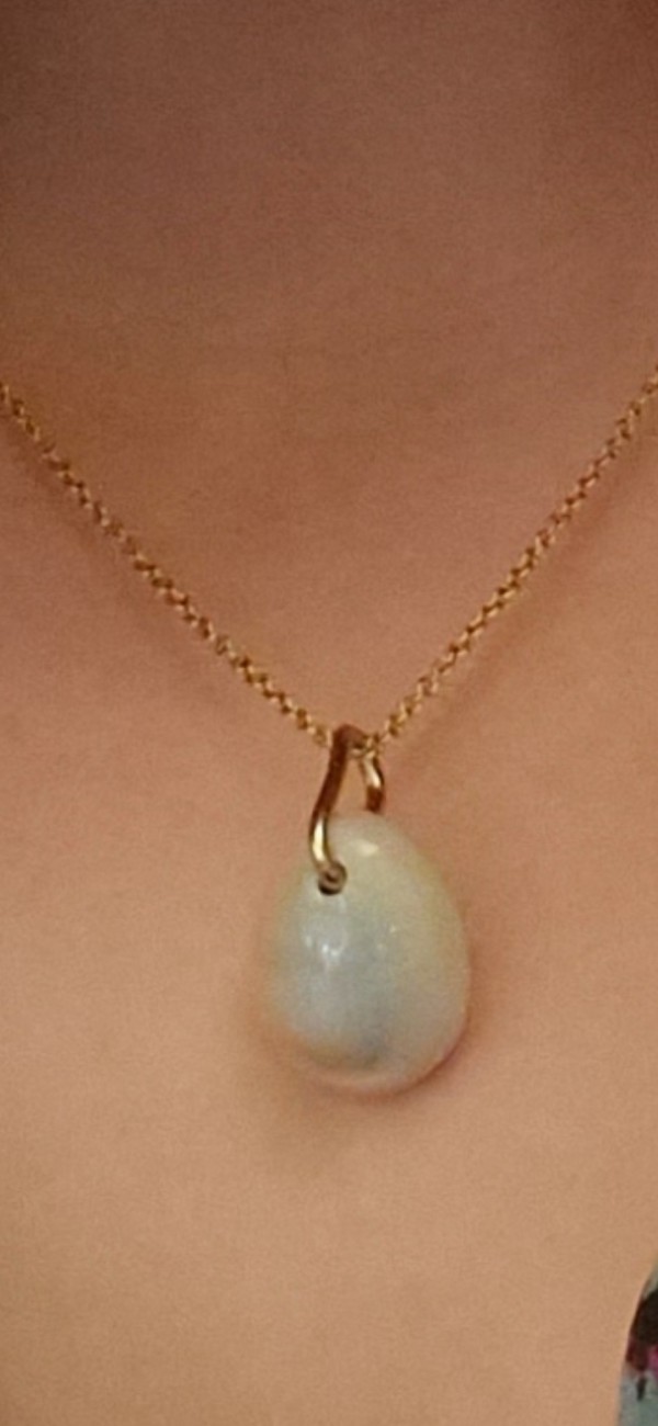 Collier perdu ce matin
