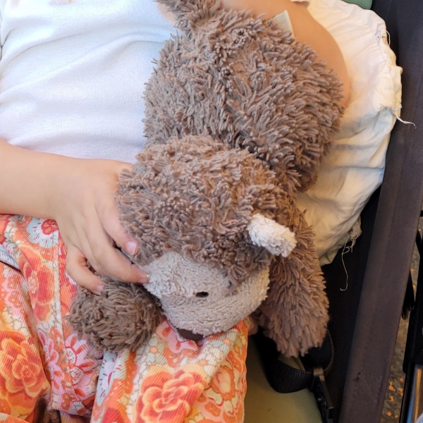 Perdu Doudou Popi