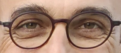 Perdu lunettes de vue marron,