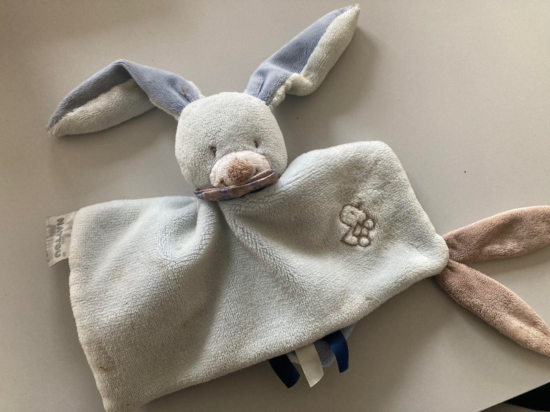Doudou trouvé vendredi matin 14/10 boulevard de Strasbourg à Dijon