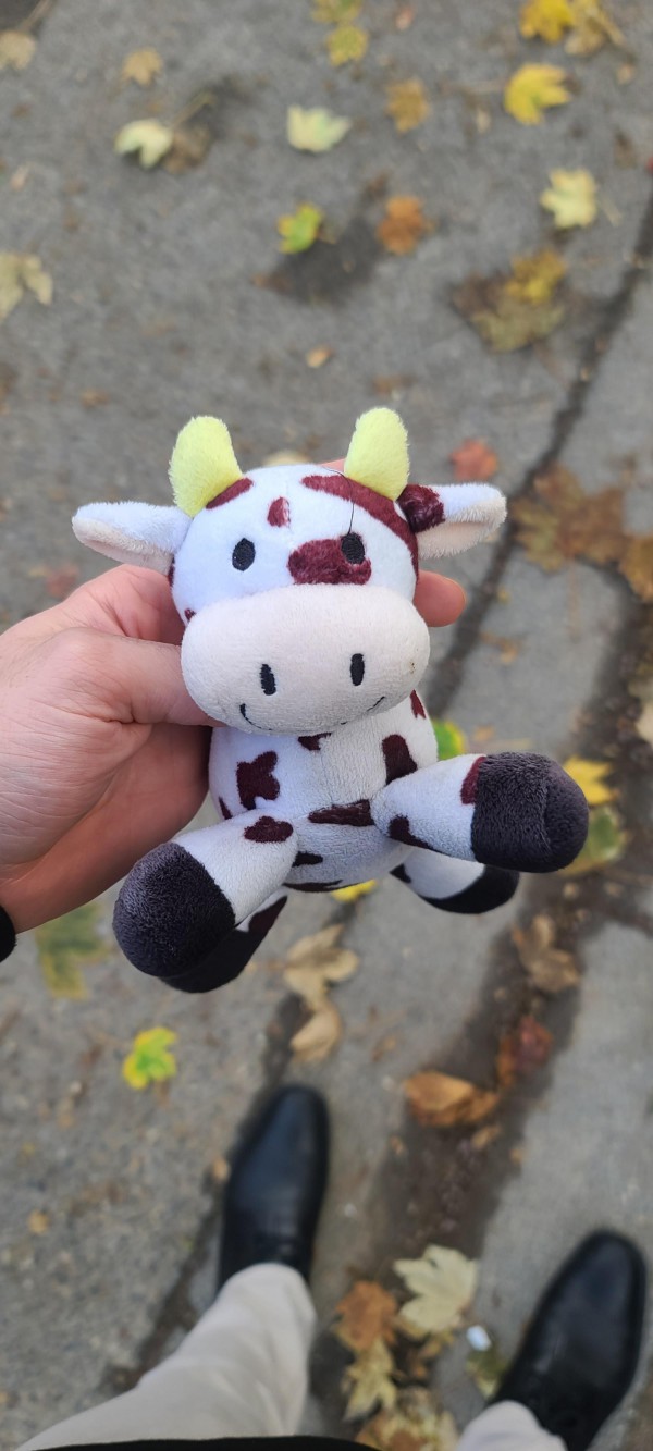 petite peluche vache