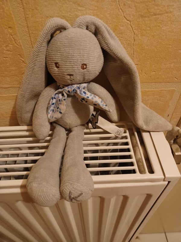 Doudou lapin trouvé à Compiègne