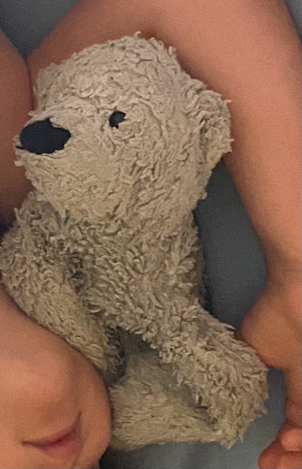 Doudou ours polaire dans le TER entre Gorge de Loup et Charbonnière les Bains