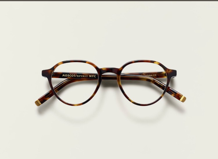Perdu Lunettes de vue