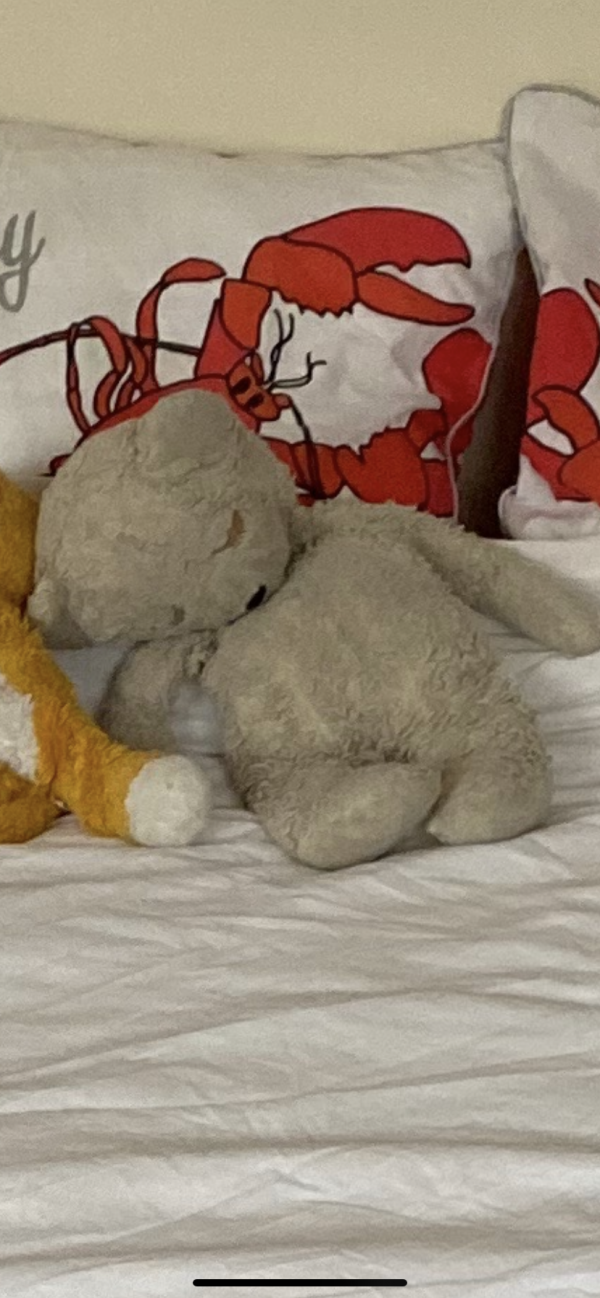 Doudou perdu à Paris!