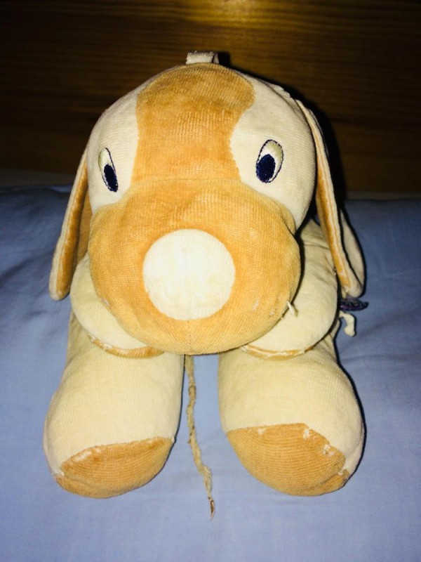 Doudou chien