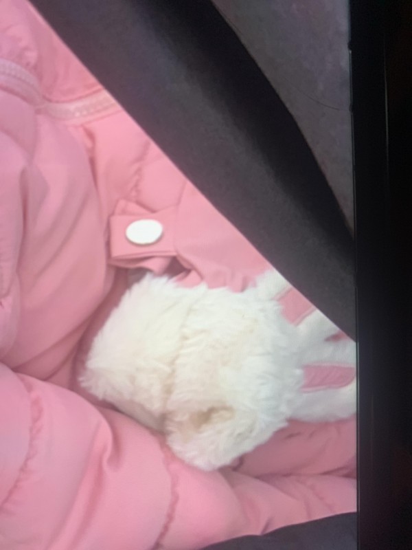 Perdu moufle rose saint nicolas