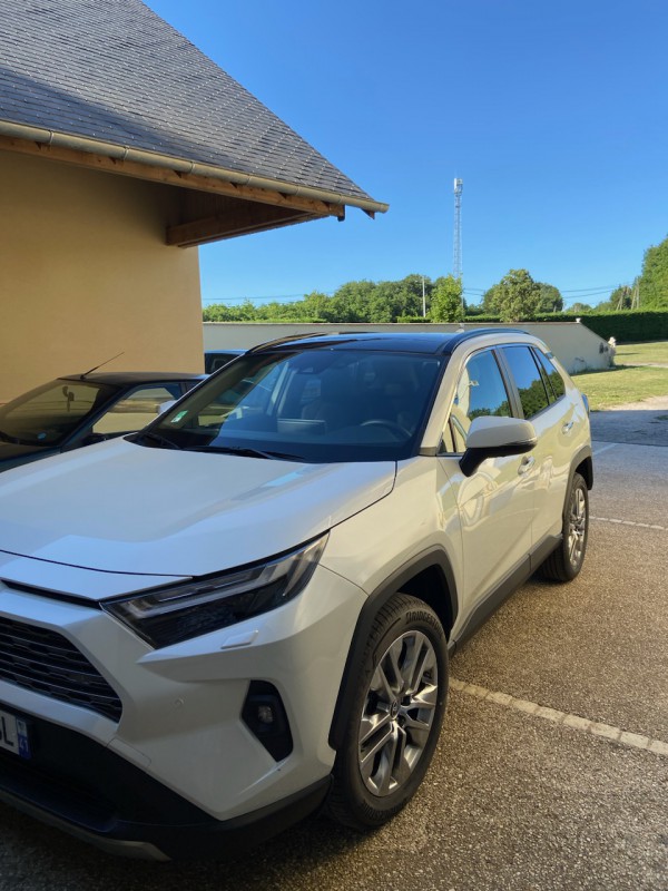 Voiture Toyota Rav4 VOLÉE
