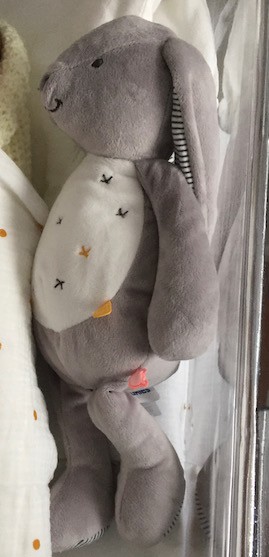 Doudou Noukie's lapin perdu