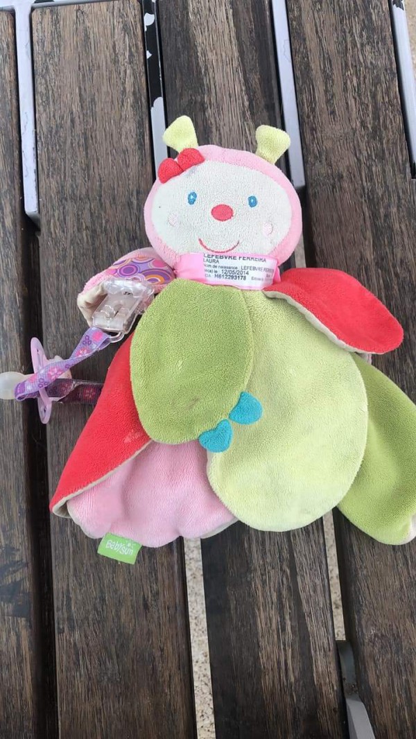 Perdu Doudou papillon fleur rose et vert