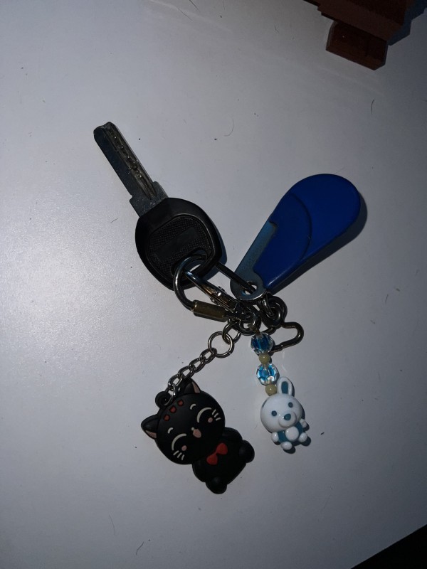 Clés avec porte clé panda