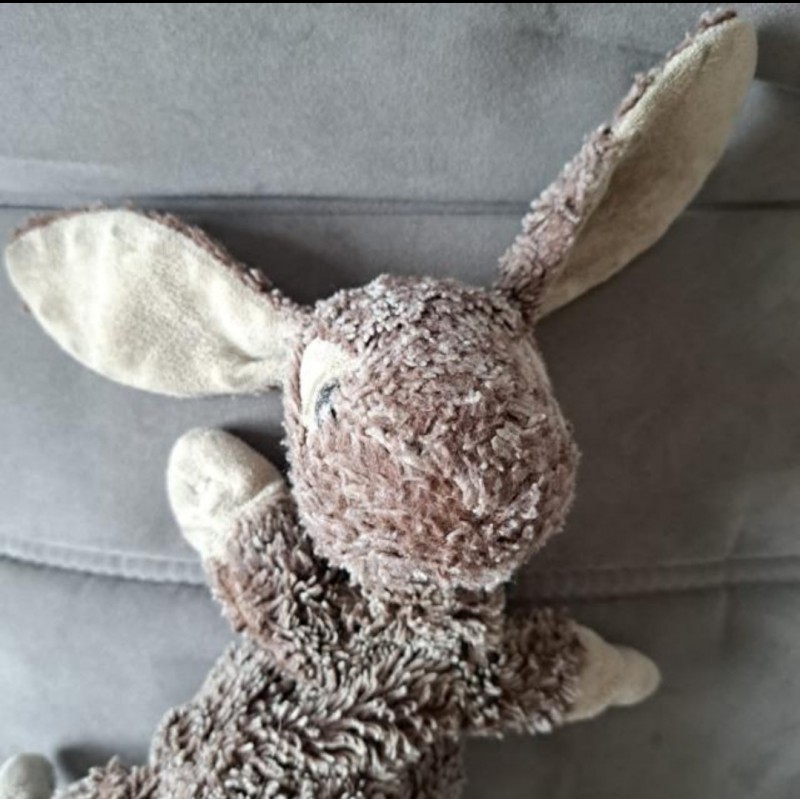 Peluche doudou lapin gris perdu le 25 12 2022 TGV Lyria 9781 gare de Genève cornavin