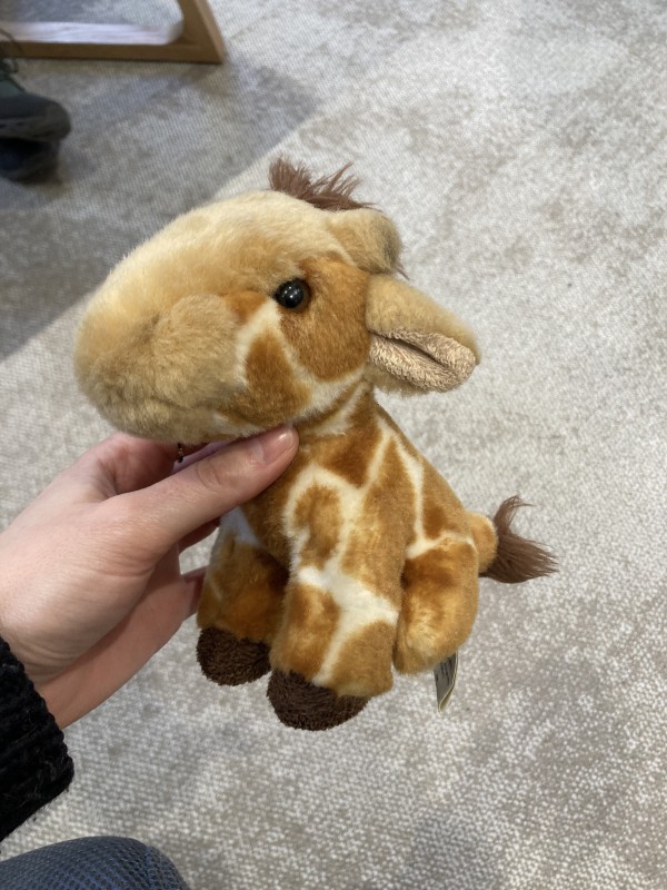 Petit doudou Girafe trouvé à Paris (laché par un enfant à l'arrière d'un vélo)