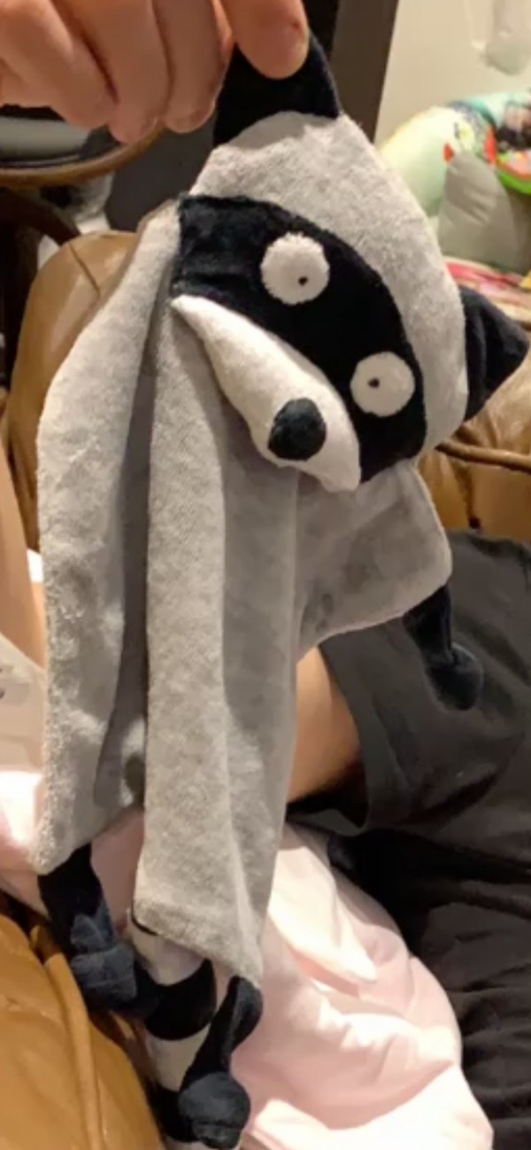Perdu doudou raton laveur