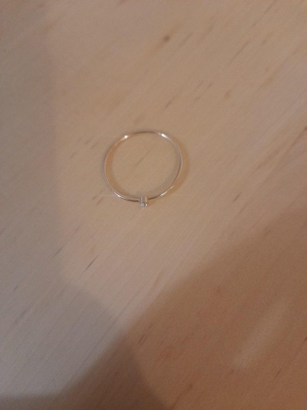 Bague retrouvée à la Vilette