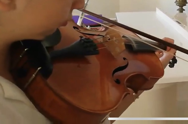 Violon alto