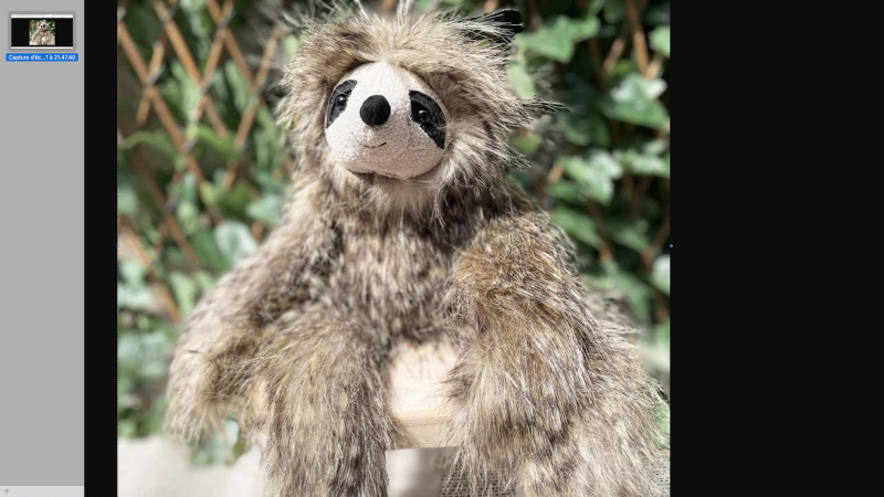 perdu peluche animal paresseux quartier Tortière