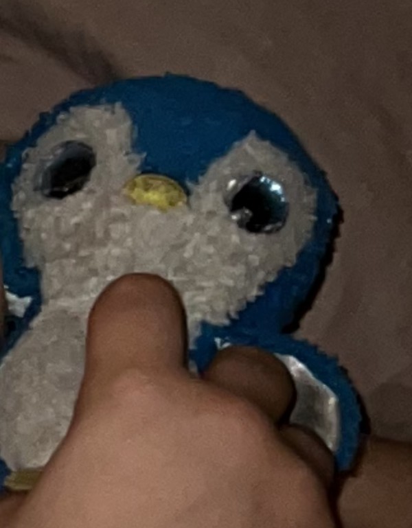 Bleu oiseau