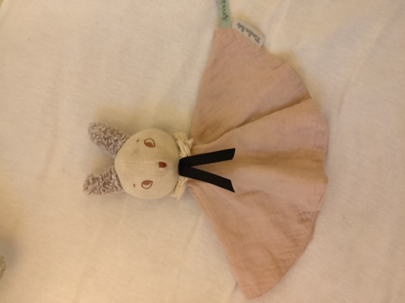 Perdu doudou Clermont-Ferrand