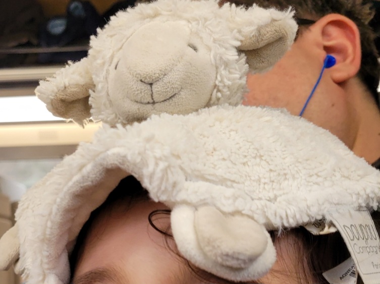 Doudou agneau plat blanc perdu