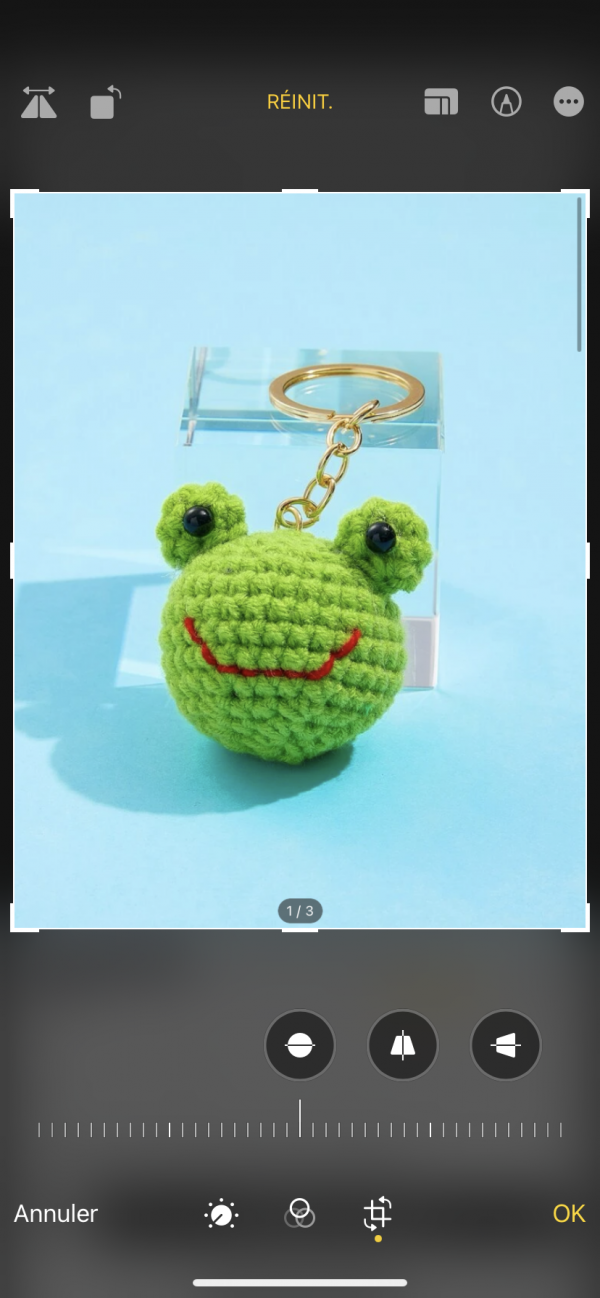 Perdu clés avec clé de voiture, porte clé grenouille