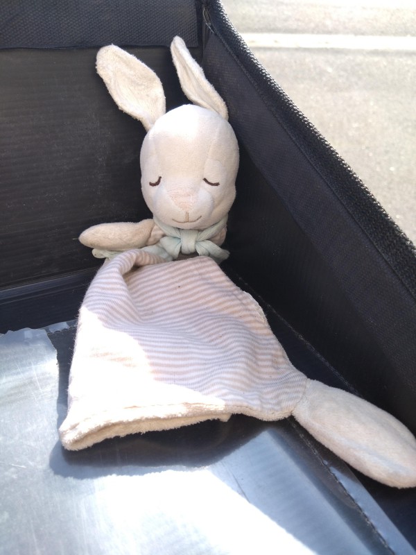Doudou a saint julien les metz