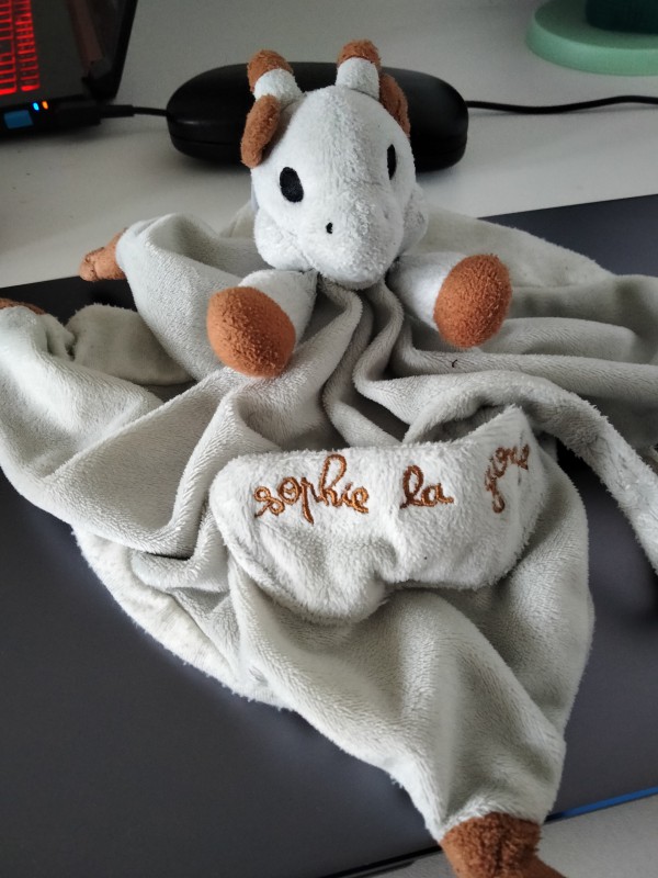 Doudou Sophie la girafe trouvé à Bron