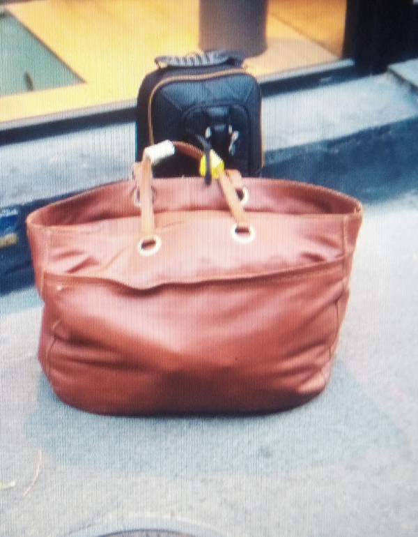 Perte d'un sac de voyage Sceaux quartier des blagis
