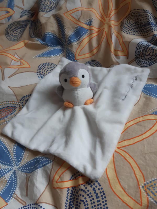Doudou pingouin Sergent Major perdu à Strasbourg