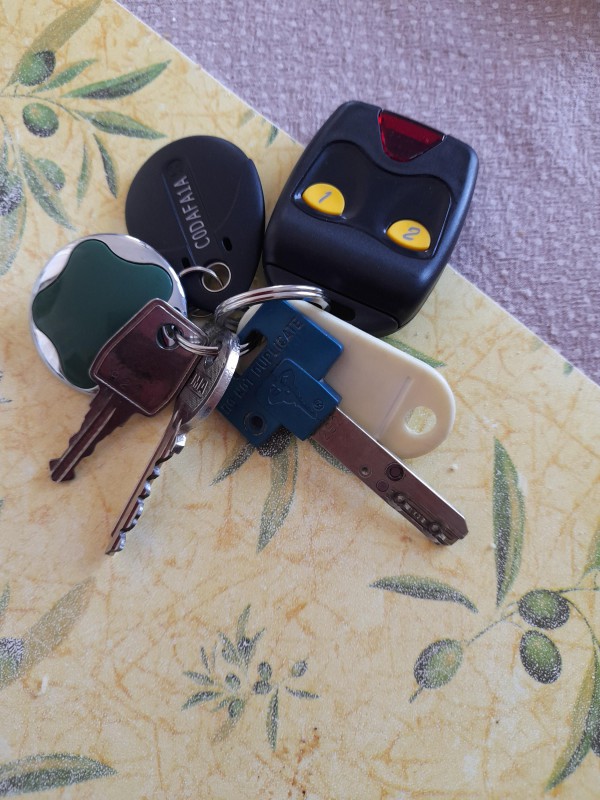 Perdu trousseau de clé comprends un clé de garage avec son bip,puis, la clé de porte blindé avec passe de porte d'entrée, clé de boîte aux lettres dans le secteur de Toulon pont du las
