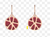 Boucle d'oreille Les Gorgettes perdu