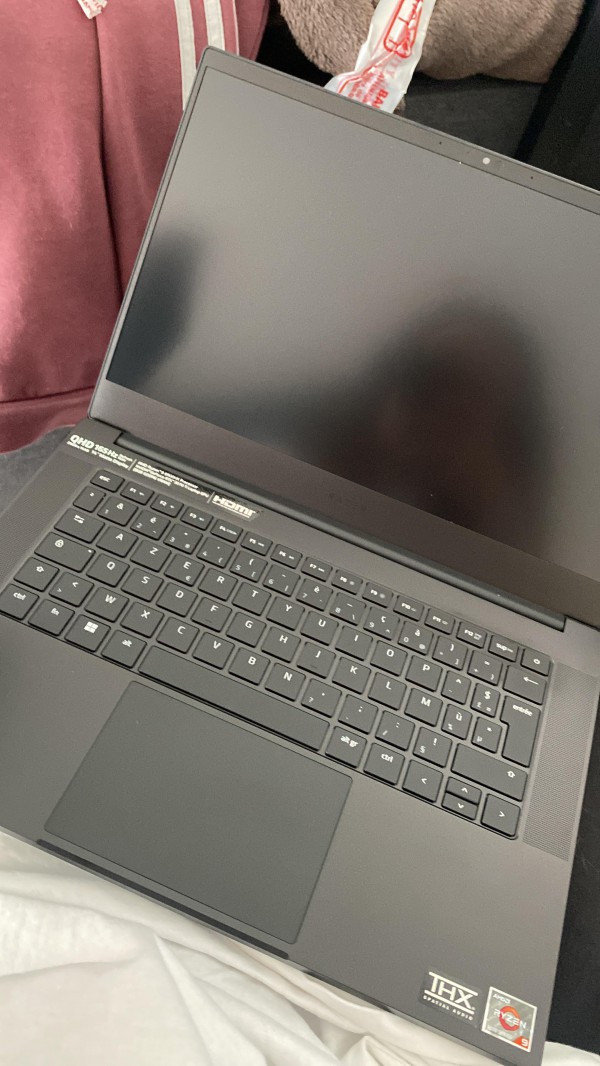 Pc gamer Razer blade 14c ordinateur volé passage rey a villeurbanne