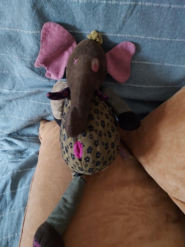 Doudou trouvé à Montplaisir Lumiere